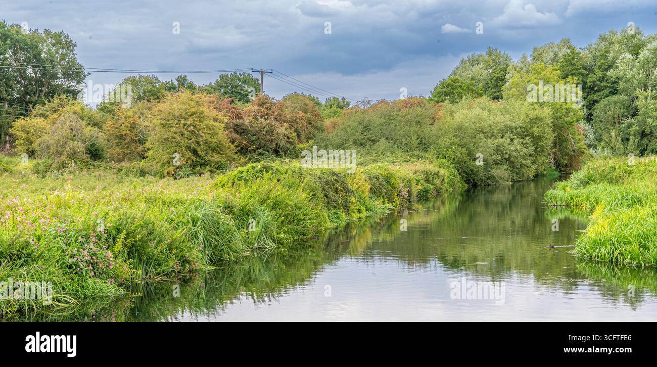 Scène estivale lumineuse d'écluses de canal, roseaux et surface miroitante Banque D'Images