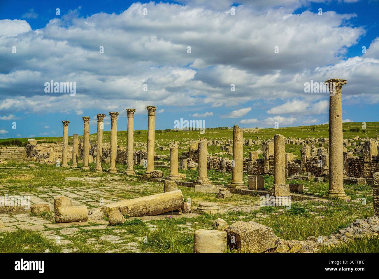 Ruines romaines, Madaure, Souk Ahras, Algérie Banque D'Images