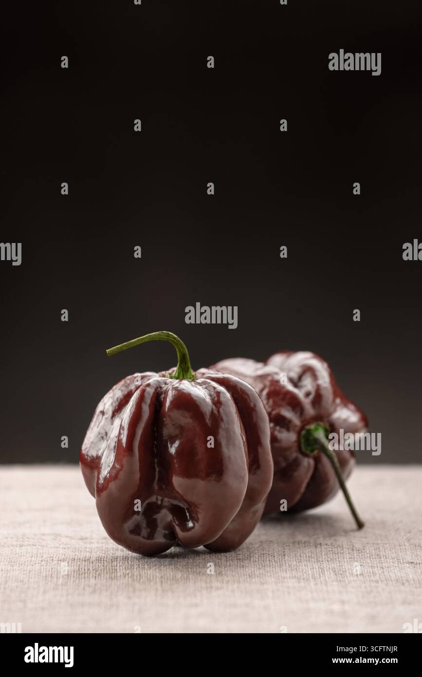 Brun foncé Habanero chocolat poivre placé sur la nappe de lin sur fond noir avec espace de copie Banque D'Images