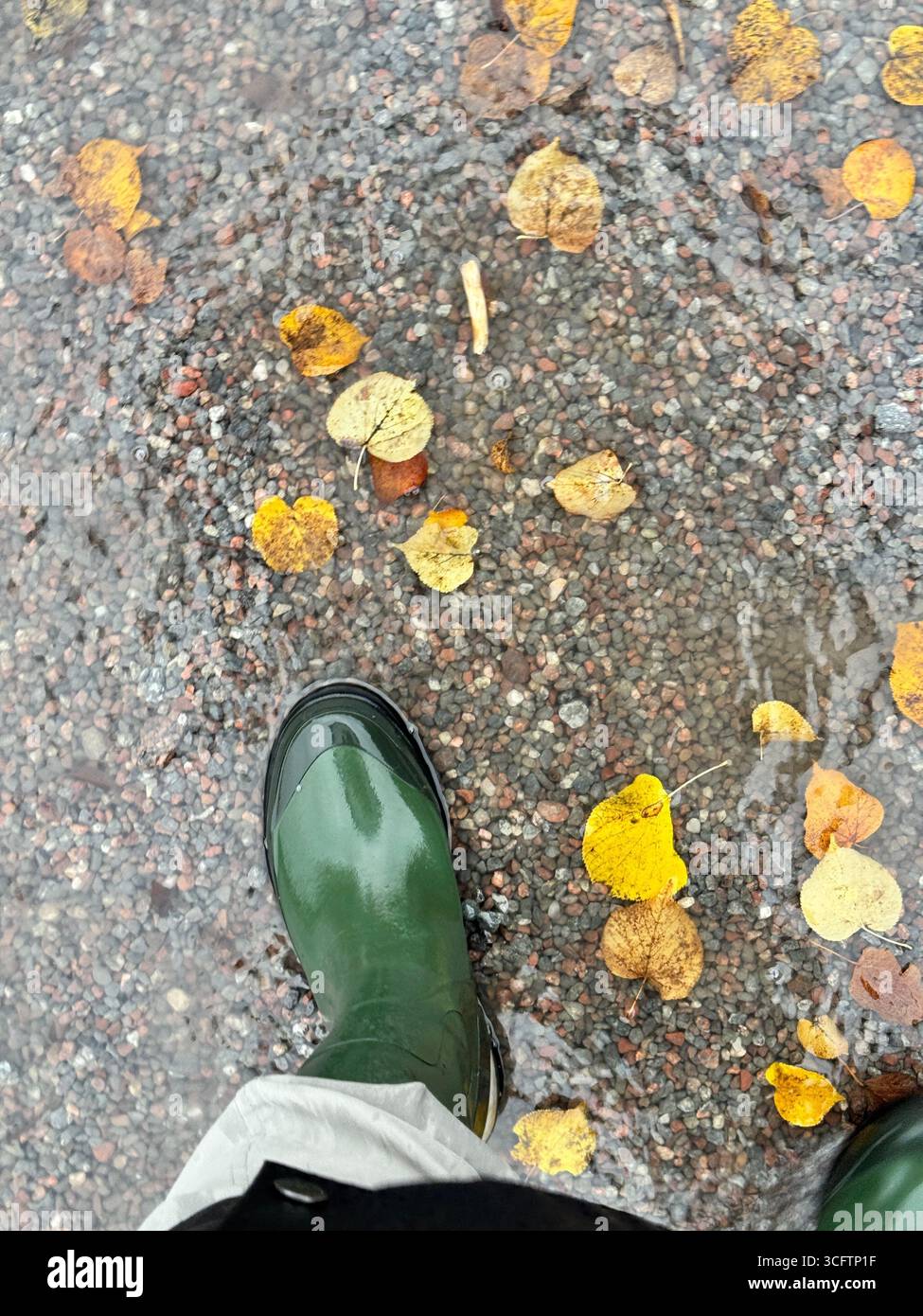 Une personne portant des bottes en caoutchouc vertes debout dans une flaque avec des feuilles d'automne jaunes sur du gravier humide. Banque D'Images