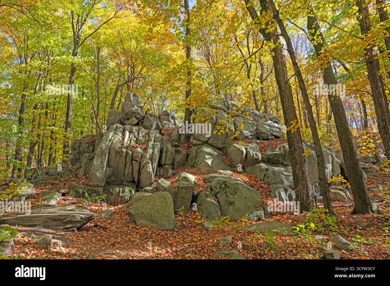 Affleurement rocheux sous une forêt dorée dans le parc national de Rib Mountain dans le Wisconsin Banque D'Images
