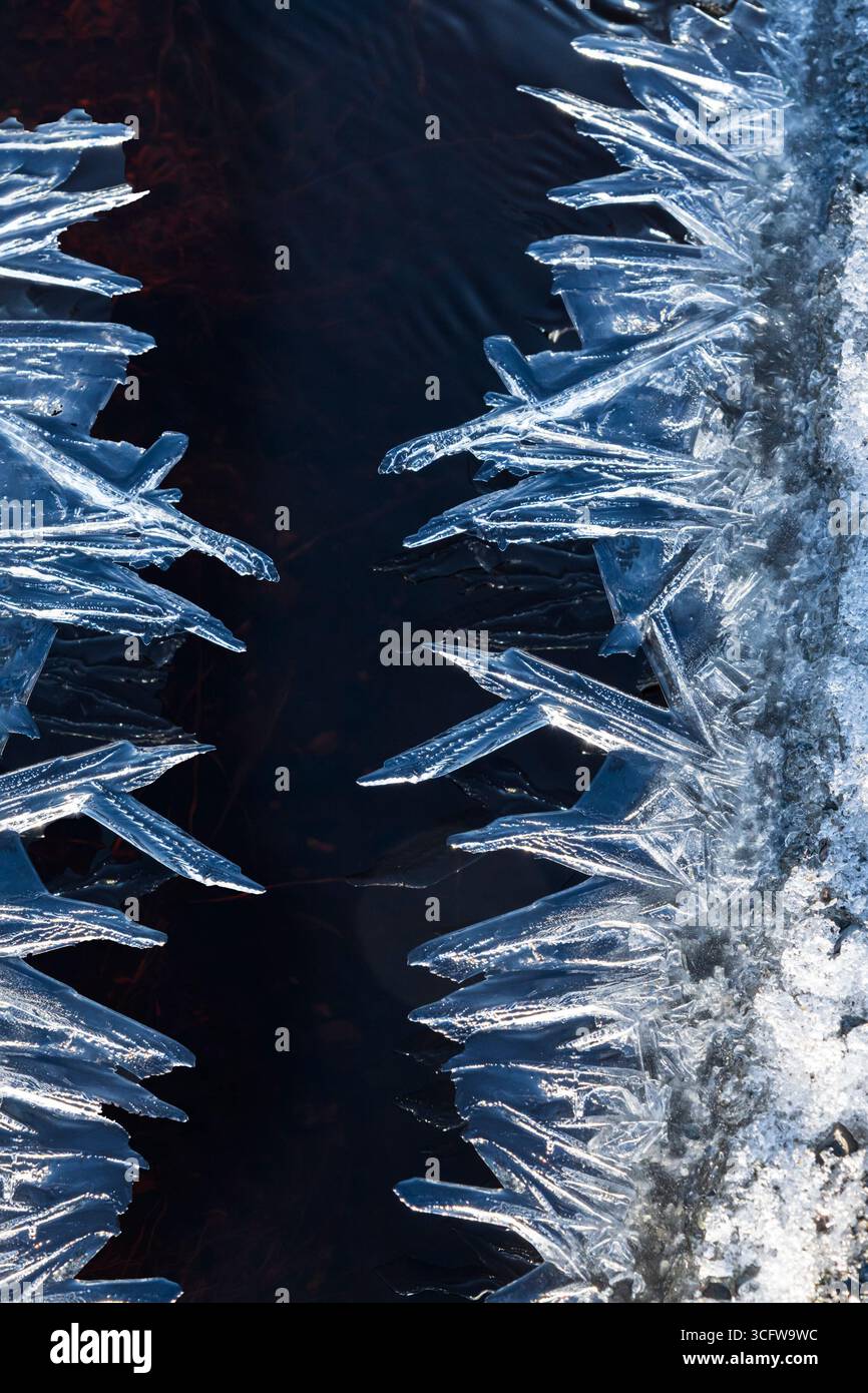 Amérique du Nord; États-Unis; Alaska; printemps; glace; ruisseau; motifs Banque D'Images