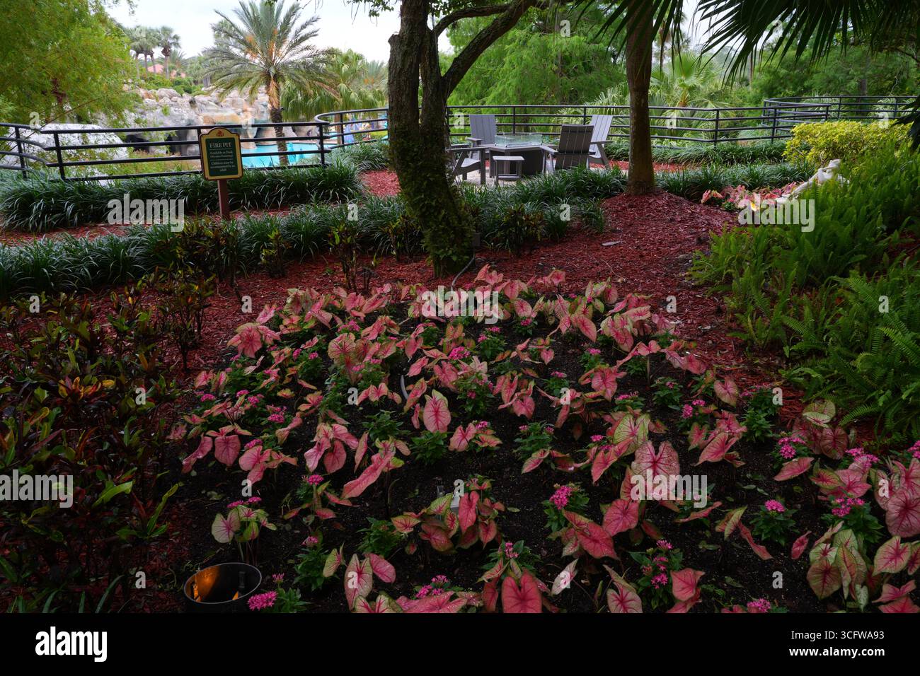 ORLANDO, FL –10 MAI 2025- vue sur le Hyatt Regency Grand Cypress Resort, un hôtel emblématique près des parcs d'attractions d'Orlando dans le lac Buena Vista Ar Banque D'Images