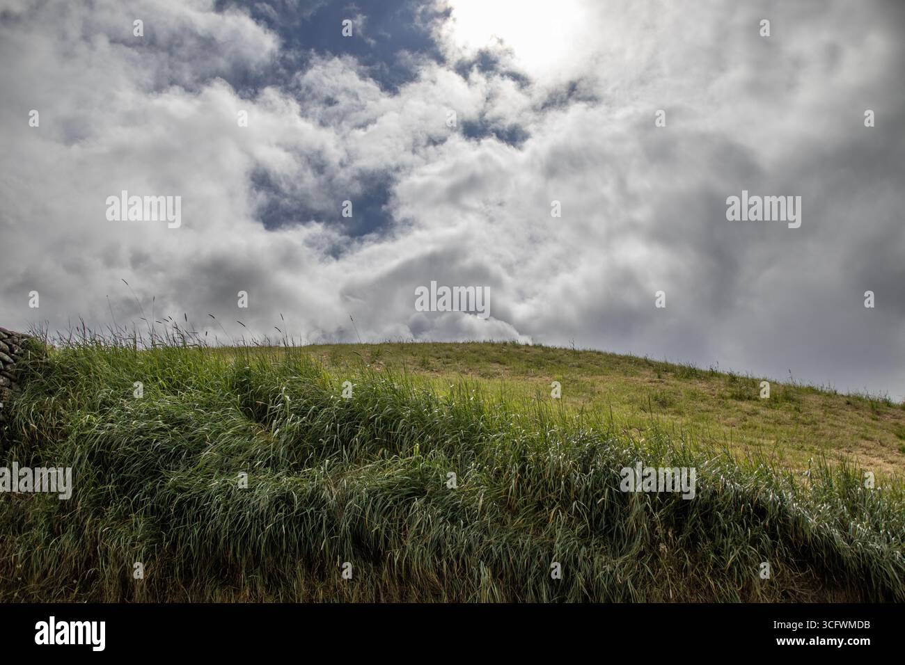 Tombeau de passage à Newgrange, comté de Meath, Irlande. Newgrange est un monument préhistorique, qui fait partie du complexe Brú na Bóinne dans le comté de Meath, en Irlande. Banque D'Images