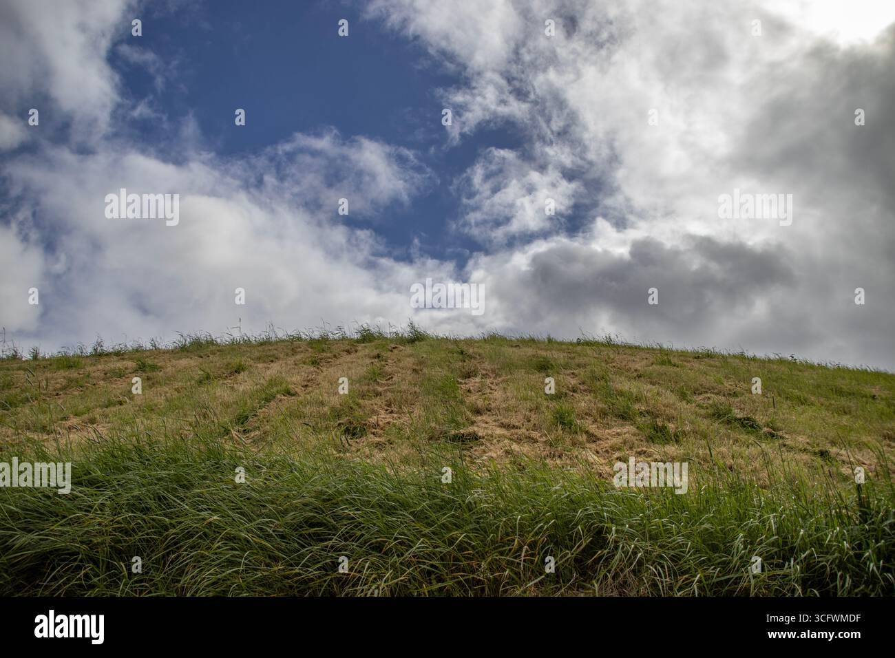 Tombeau de passage à Newgrange, comté de Meath, Irlande. Newgrange est un monument préhistorique, qui fait partie du complexe Brú na Bóinne dans le comté de Meath, en Irlande. Banque D'Images