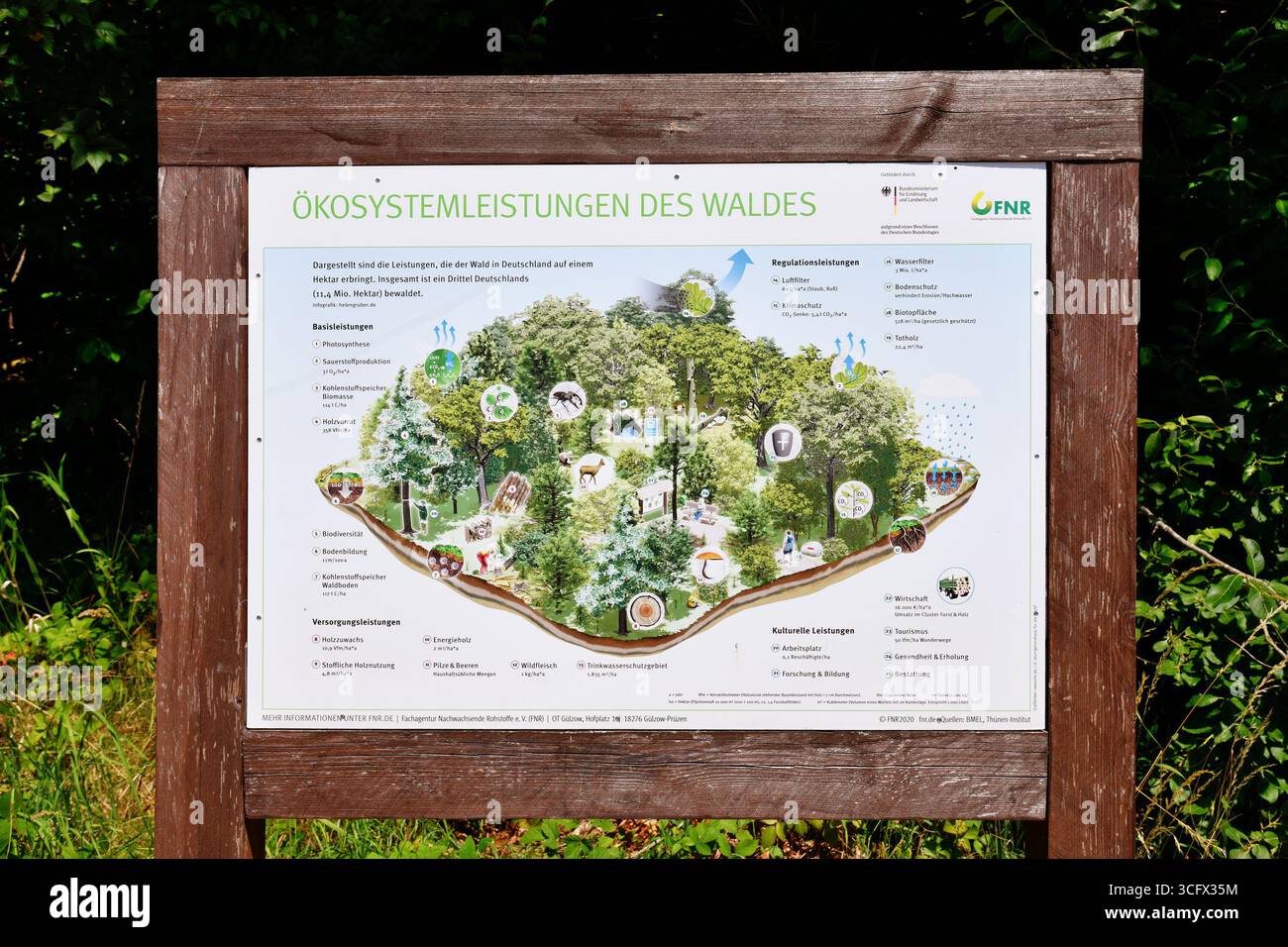 Forbach, Allemagne - 12 juillet 2025 : Infographie sur l'écosystème forestier de la Forêt Noire avec des informations sur la flore, la faune et la biodiversité Banque D'Images