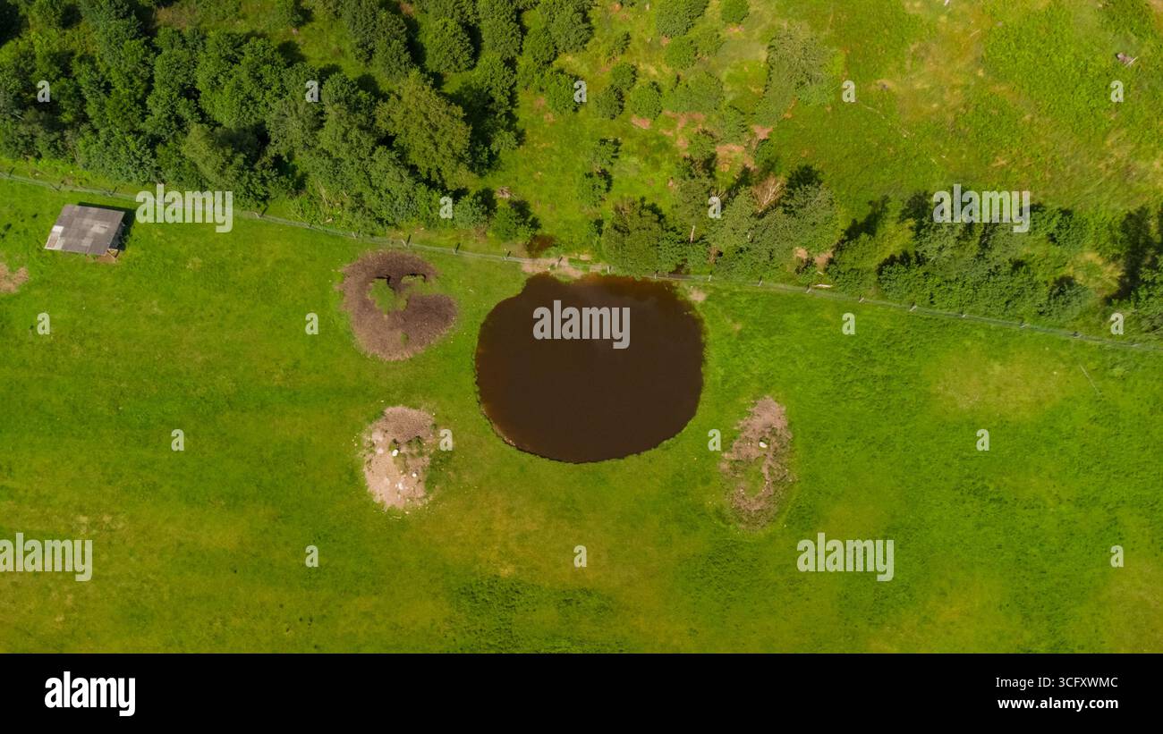 Vue aérienne d'une ferme de cerfs avec un petit étang, entouré de pâturages verts et de forêt Banque D'Images