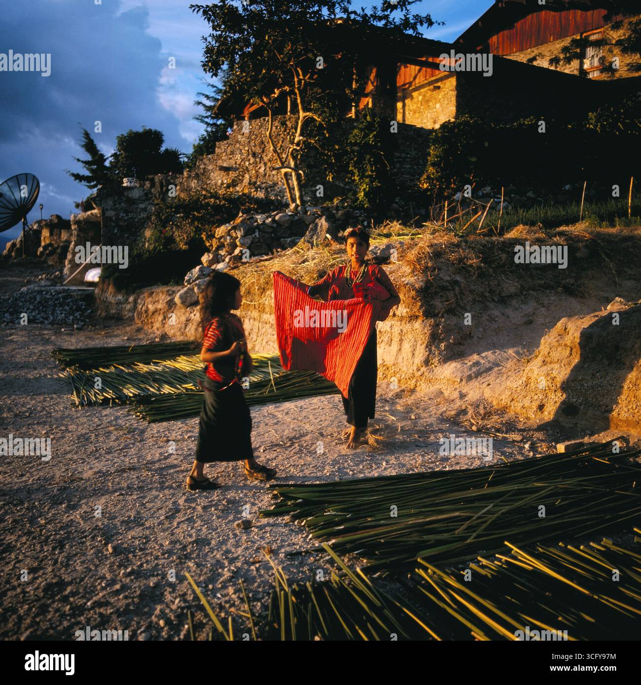 Zwei Mädchen helfen beim Auslegen von Pflanzenfasern zum Trocknen in der Abendsonne. Guatemala, um 1980. Banque D'Images
