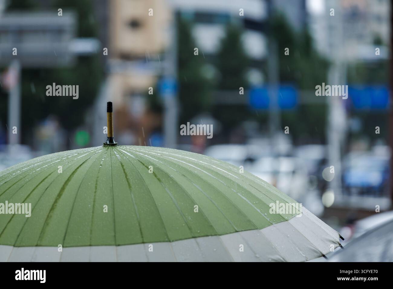 Gros plan d'un parapluie vert et blanc cassé ouvert pendant une tempête de pluie. Les gouttelettes d'eau adhèrent à la surface nervurée. Permet de régler l'effet bokeh sur le fond des rues animées de la ville. Banque D'Images