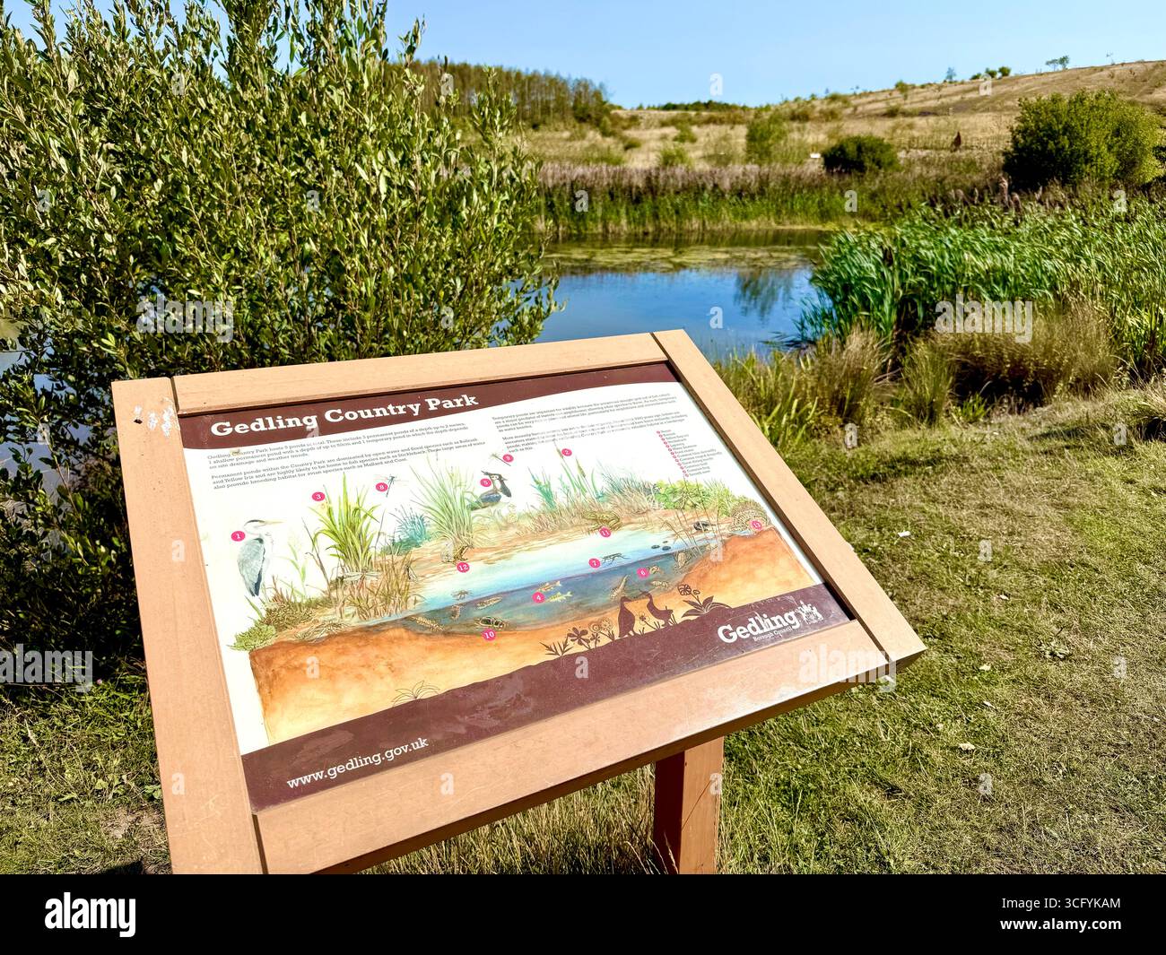Gedling Country Park, Nottingham, Angleterre, Royaume-Uni Banque D'Images
