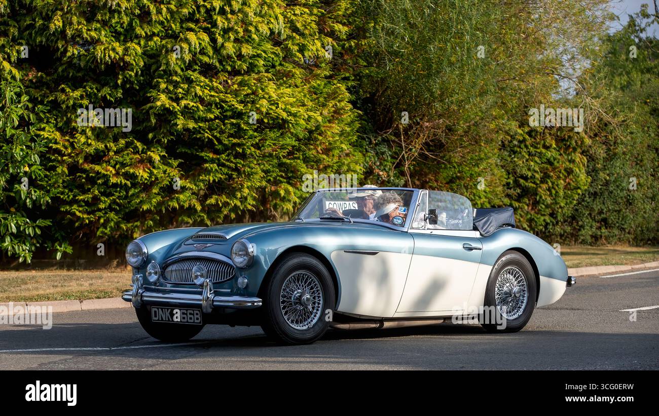 Whittlebury,Norhants,UK - 23 août 2025 : 1964 bleu Austin Healey 3000 classique voiture de sport britannique conduisant sur une route britannique Banque D'Images
