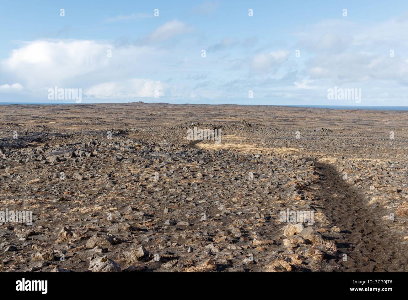 Champ de lave sur la côte ouest islandaise près de hafnarberg Banque D'Images
