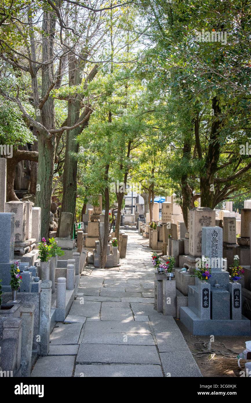 Chemin de pierre à travers le cimetière japonais au temple Isshin-ji. Sentier bordé d'arbres à travers le cimetière traditionnel avec des pierres tombales à Osaka, Japon. Banque D'Images
