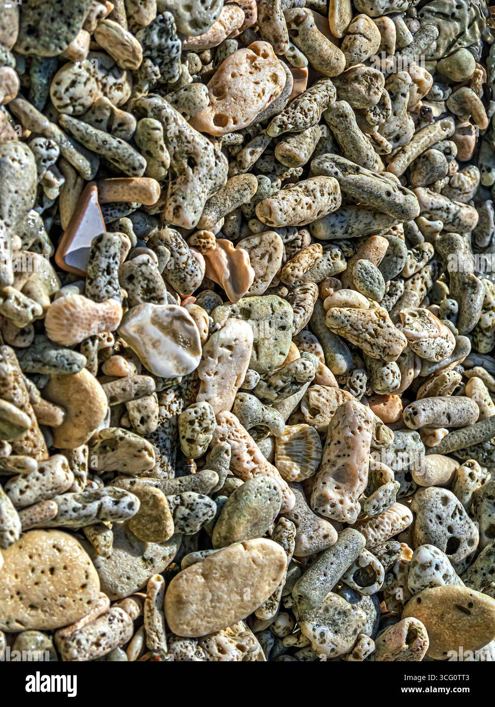 Rochers de corail sur le littoral et la plage de l'île de Bonaire Banque D'Images