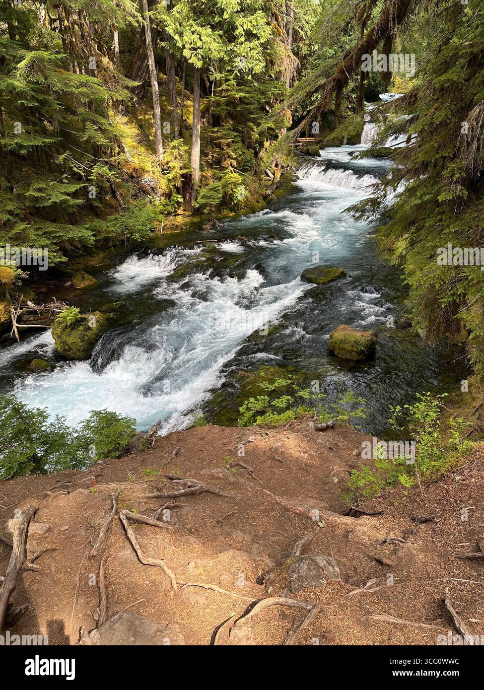 Le fleuve McKenzie en Oregon un jour d'été. Banque D'Images