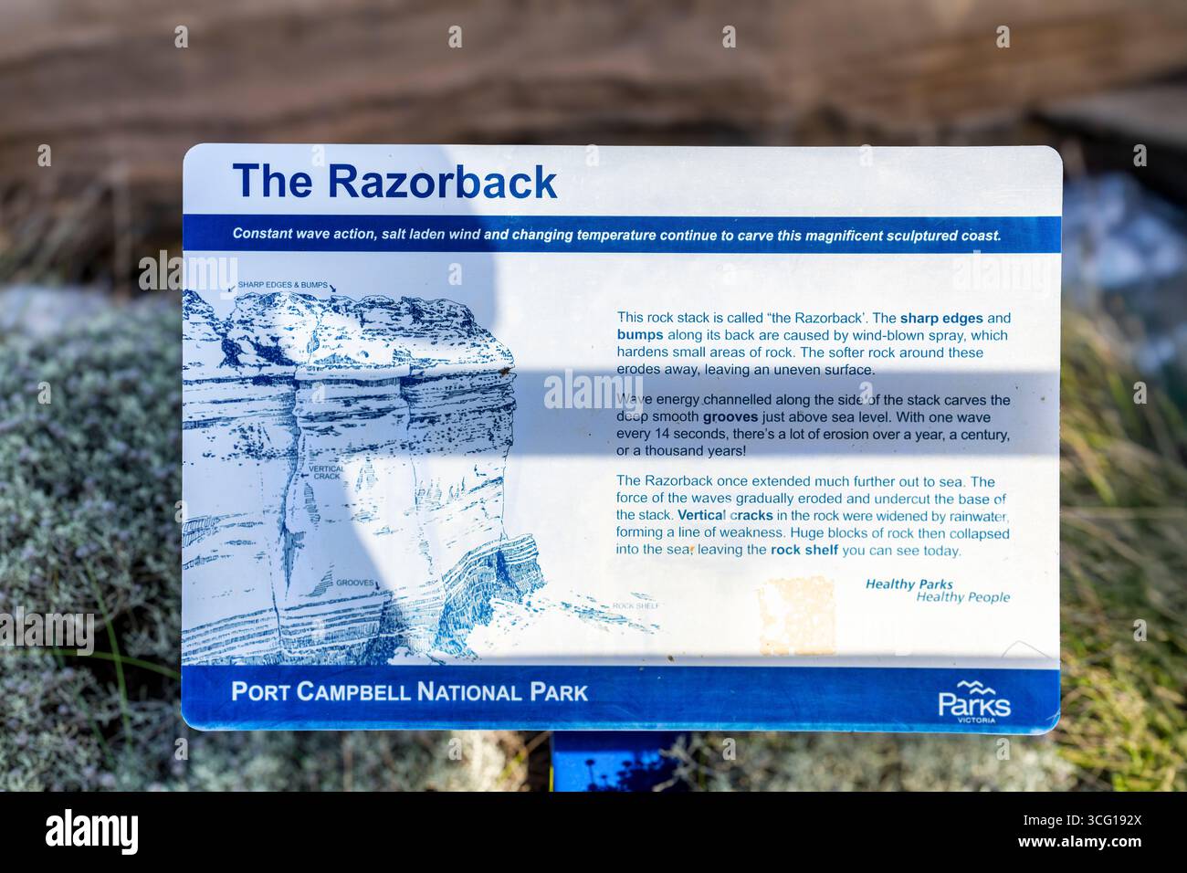Le panneau d'information Razorback à Loch Ard gorge dans le parc national de Port Campbell ; Victoria, Australie. Banque D'Images