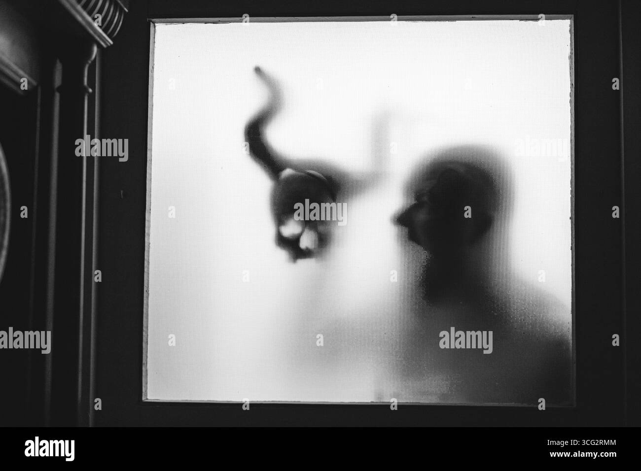 Homme effrayé par les ombres d'un démon. Horreur, fond d'halloween Banque D'Images