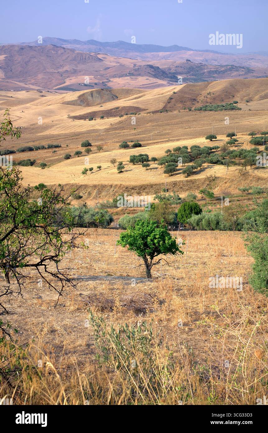 Paysage de campagne d'été sicilien, Italie (vertical) Banque D'Images