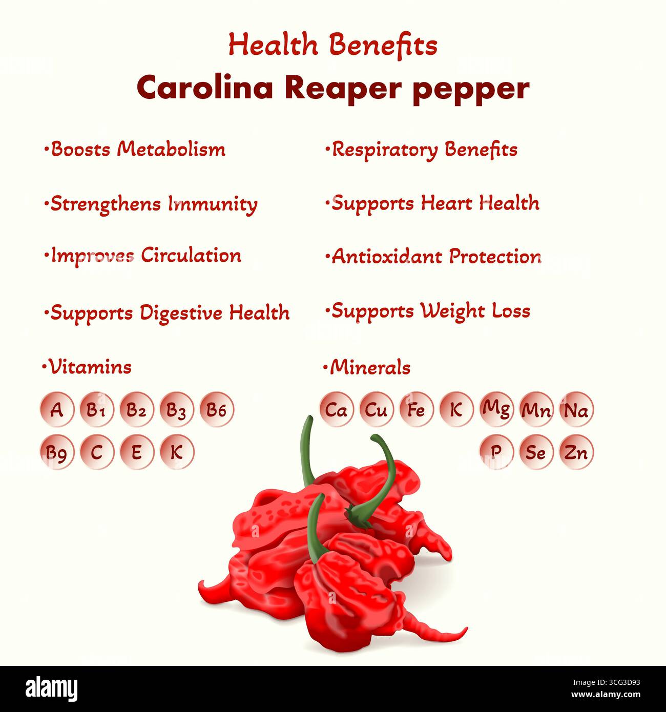 Bienfaits pour la santé et nutriments des poivrons Carolina Reaper ou HP22B. Piments. Illustration vectorielle isolée. Illustration de Vecteur
