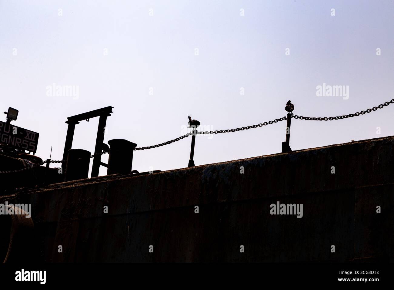 Cette image présente la silhouette du pont d’un navire avec deux oiseaux perchés sur un rail de chaîne contre un ciel dégagé, soulignant le thème maritime et naturel. Banque D'Images