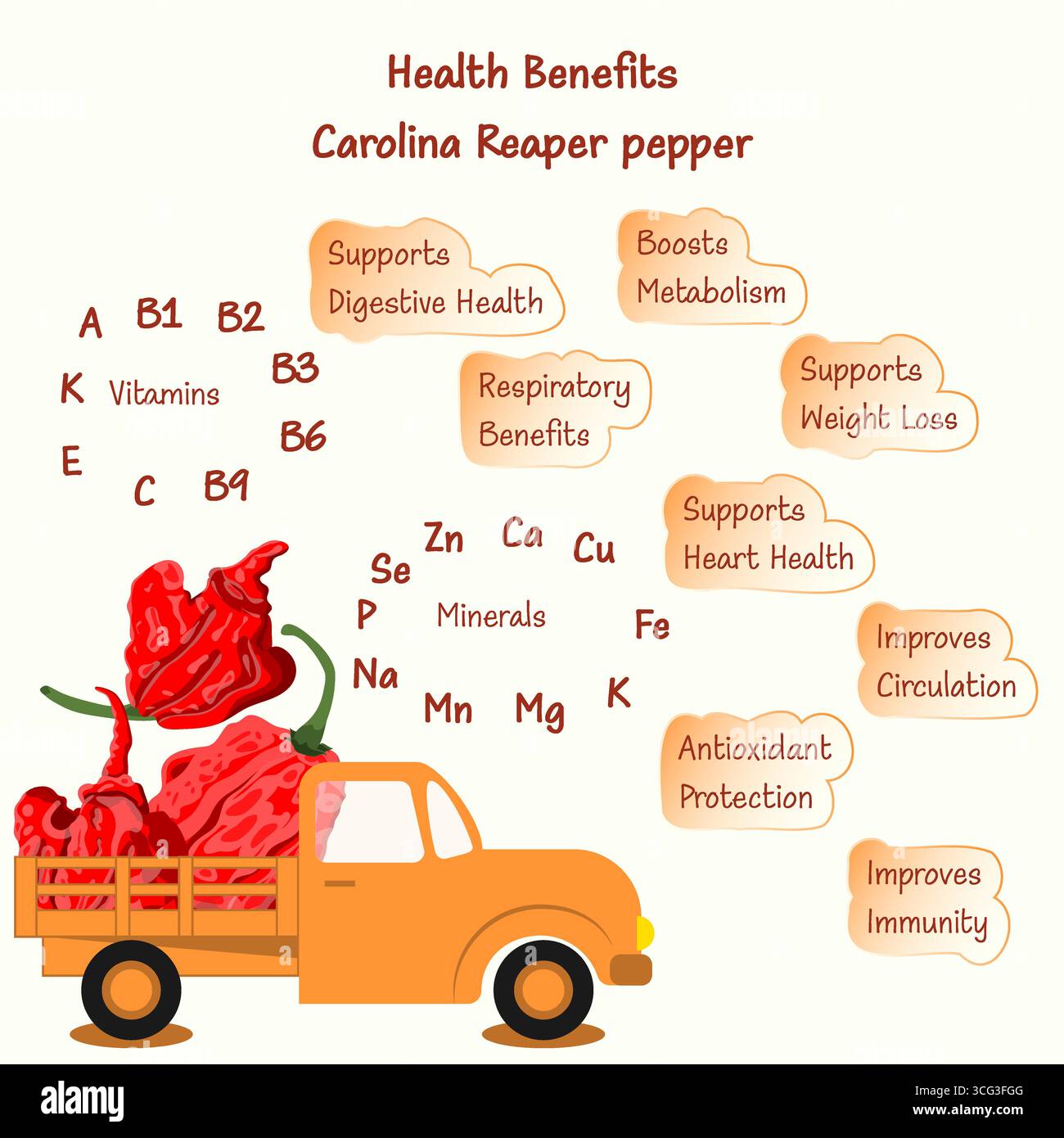 Bienfaits pour la santé et nutriments des poivrons Carolina Reaper ou HP22B. Piments. . Camion chargé de poivrons. Illustration vectorielle isolée. Illustration de Vecteur