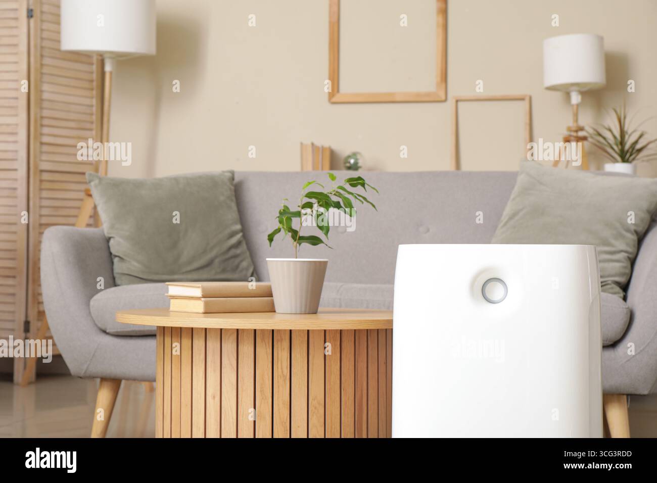 Humidificateur moderne près de la table basse dans le salon Banque D'Images