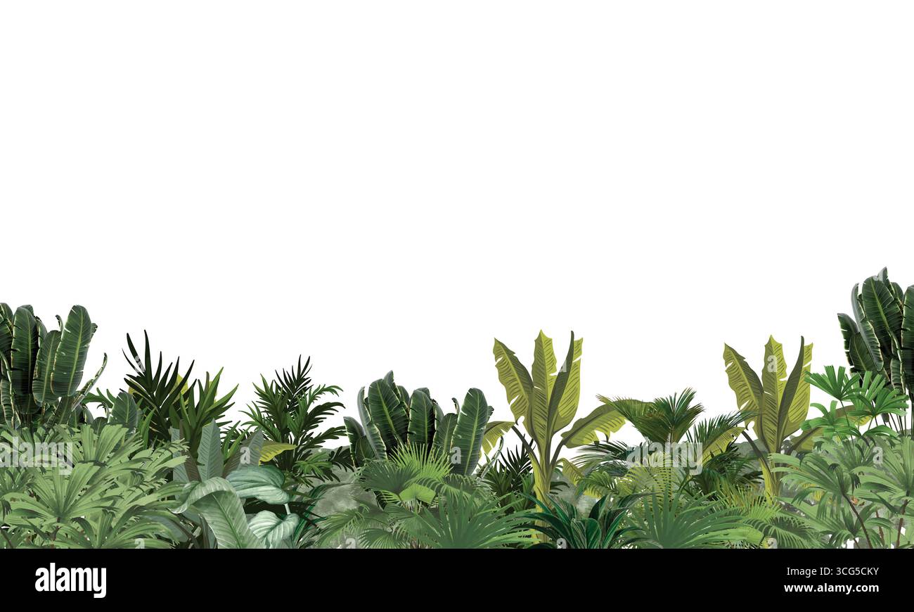 Feuilles de palmier tropical aquarelle fond d'art mural jungle Banque D'Images