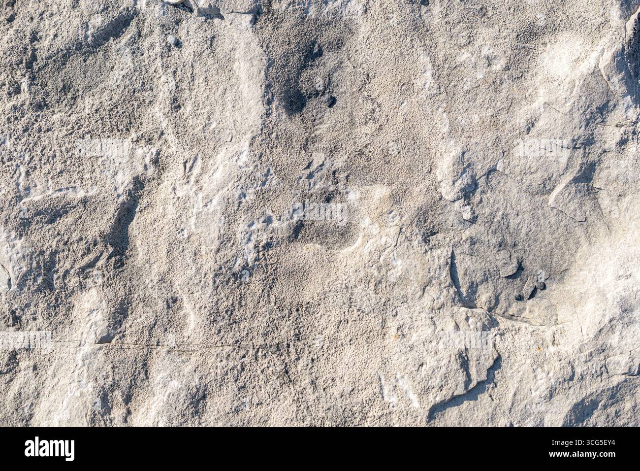 Gros plan d'une surface de roche calcaire texturée avec des motifs naturels et des ombres claires sur sa surface rugueuse et inégale. Banque D'Images