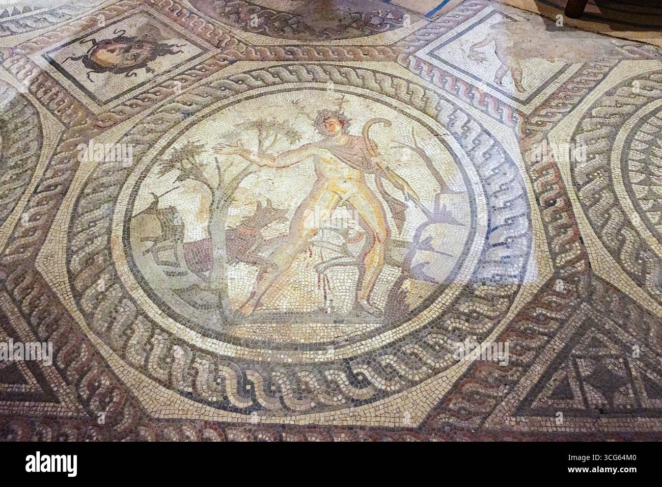 Cirencester, Cotswolds, Angleterre, Royaume-Uni Corinium Museum, Actaeon, une des mosaïques romaines des saisons, IIe siècle, trouvée en 1849. Banque D'Images