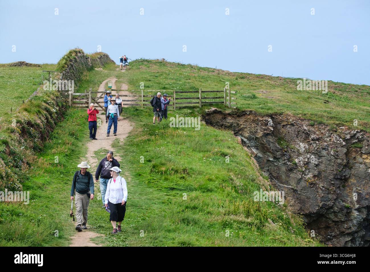 Cornwall, Angleterre, Royaume-Uni randonneurs sur Coast Path près de Tregudda gorge. Banque D'Images