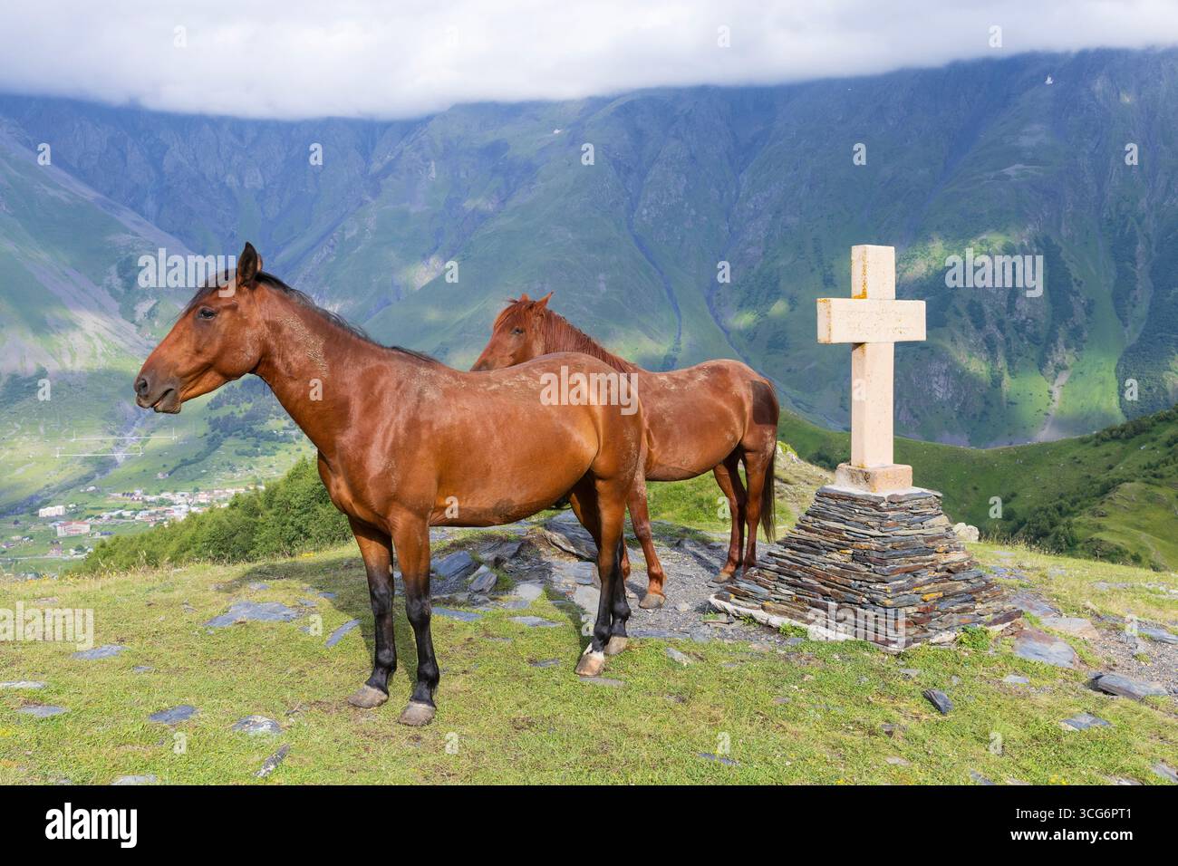 Beaux chevaux de baie reposant au mémorial de la croix de pierre à l'église de la Trinité Gergeti du XIVe siècle à Stepantsminda, Géorgie Banque D'Images