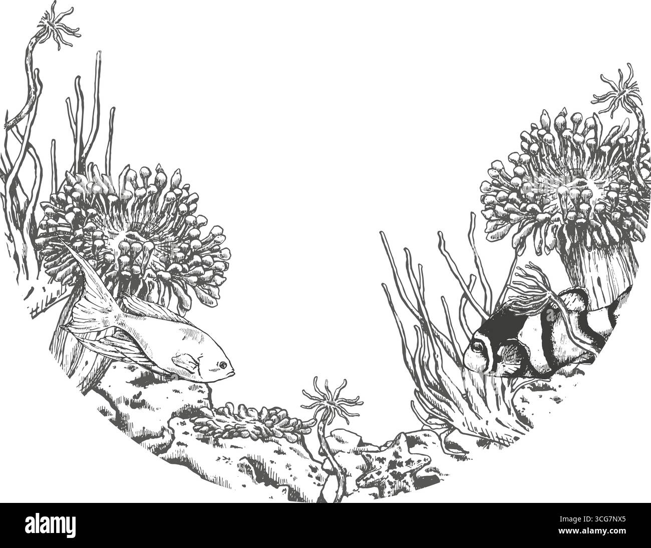 Composition ronde vectorielle d'anémones de mer et de poissons pour la conception Illustration de Vecteur