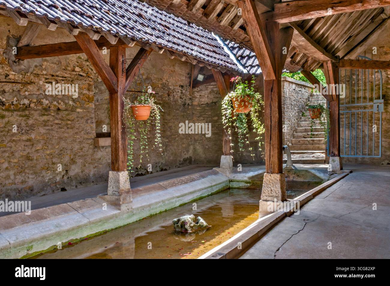 Restauré l'abrevoir - lavoir public - dans l'Yonne (89), France. Banque D'Images