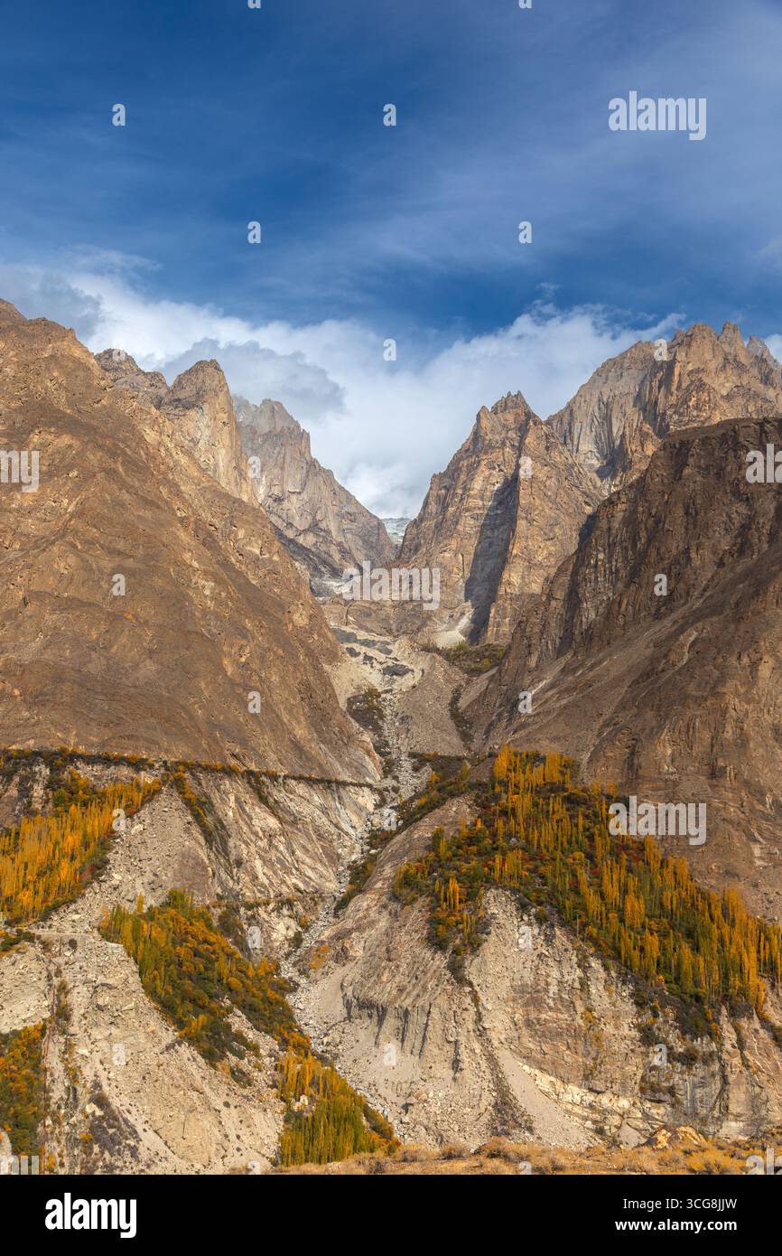 Vue sur les montagnes escarpées et imposantes avec des arbres dorés accrochés aux pentes rocheuses sous un ciel bleu vibrant, Hunza Nagar, Gilgit Baltistan, Pakistan. Banque D'Images
