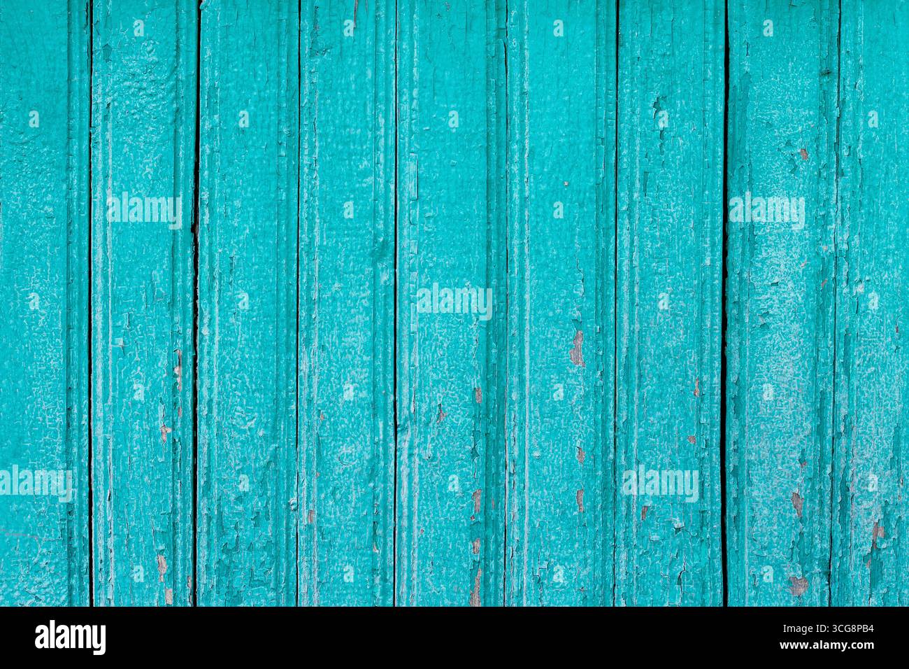 Peinture craquelée bleue sur texture vintage en bois. Vieux fond de mur en bois aigue-marine peint. Planches en bois grunge fond Banque D'Images
