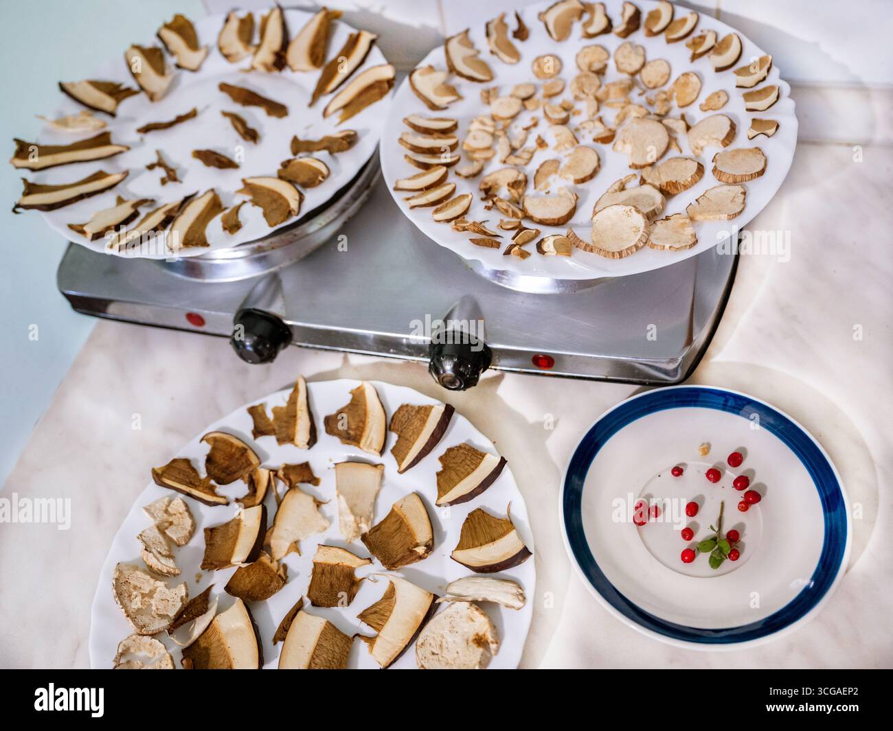 Beaucoup de champignons forestiers tranchés séchés et de canneberges sur l'assiette sur un poêle simple dans la cuisine. Préparation du repas. Banque D'Images