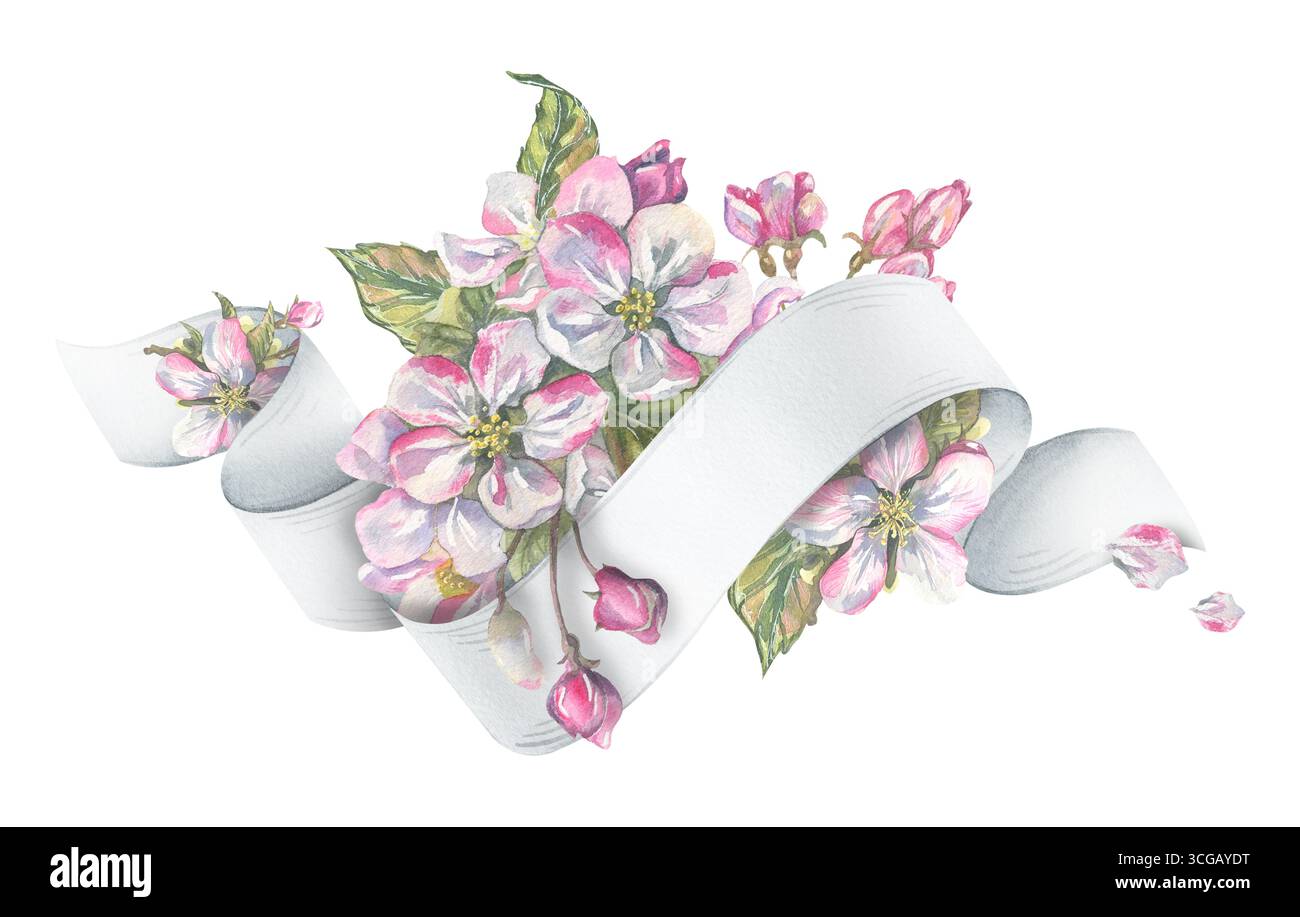 Composition décorative avec des fleurs de pomme et un rouleau de ruban blanc pour le texte, illustration détaillée d'aquarelle peinte à la main, parfaite pour les cartes romantiques Banque D'Images