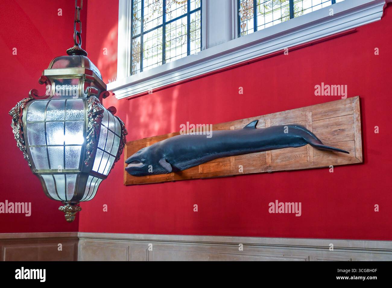 Un modèle de baleine monté sur une plaque de bois contre un mur rouge à l'intérieur du Musée Océanographique, avec une grande lanterne au premier plan, Monaco ville Banque D'Images