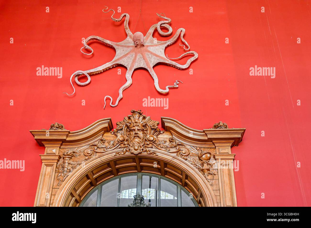 Reproduction d'une pieuvre accrochée à un mur à l'intérieur du Musée Océanographique, au-dessus d'un cadre de porte en bois sculpté, Monaco ville, Principauté de Monaco Banque D'Images