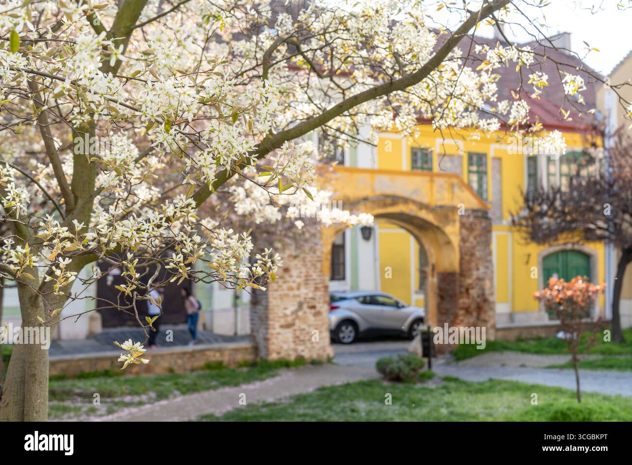 Fleurs de printemps avec une arche dans un centre-ville historique en Hongrie Banque D'Images