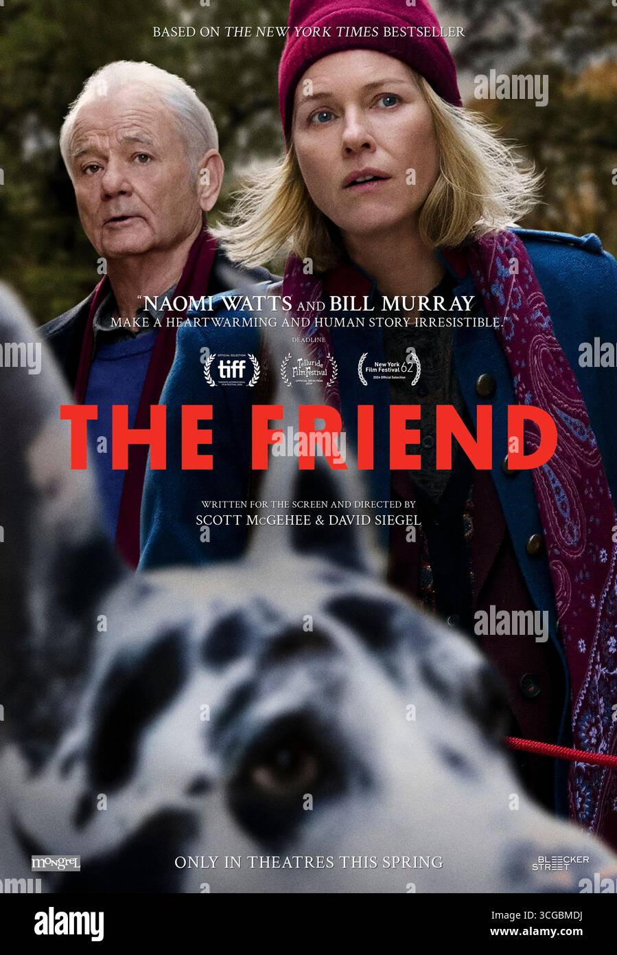 The Friend (2024) réalisé par Scott McGehee et David Siegel avec Naomi Watts, Bill Murray et Ann Dowd. Basé sur le roman de Sigrid Nunez, un écrivain New-yorkais hérite du Grand Danois de son mentor défunt et, par leur lien improbable, navigue dans le deuil, l’amitié et la guérison. Affiche AMÉRICAINE À une feuille POUR USAGE ÉDITORIAL UNIQUEMENT. Crédit : BFA / Bleecker Street Banque D'Images