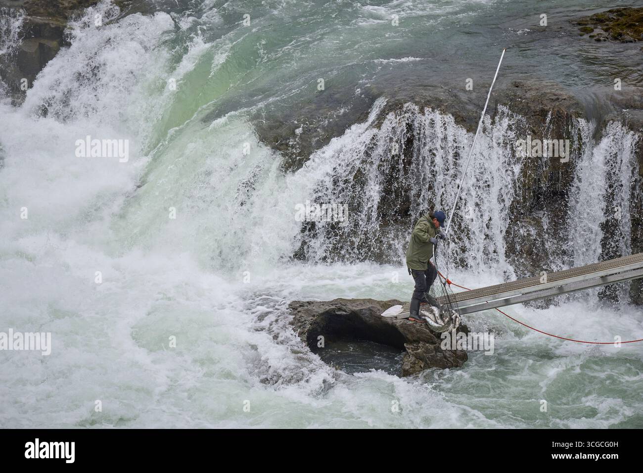 Un membre de la première nation Wet’suewet’en utilise un dipnet – la méthode traditionnelle du pays – pour pêcher le saumon à Witset, en Colombie-Britannique, au Canada. Banque D'Images