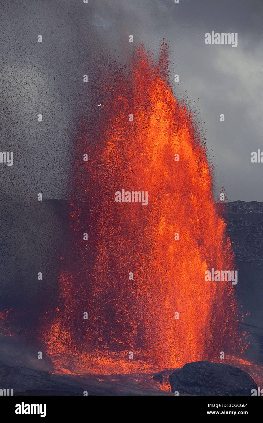 L'oiseau tropical à queue blanche, Phaethon lepturus, survole une grande fontaine de lave chaude, le cratère Halemaumau, le volcan Kilauea, île d'Hawaï, États-Unis Banque D'Images