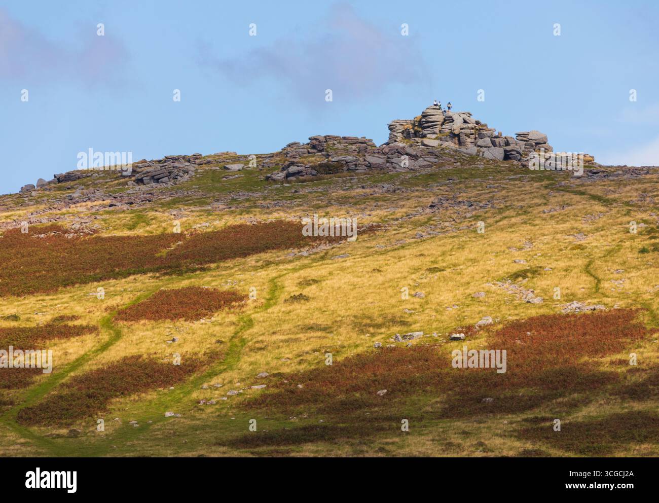 Dartmoor tors Banque D'Images