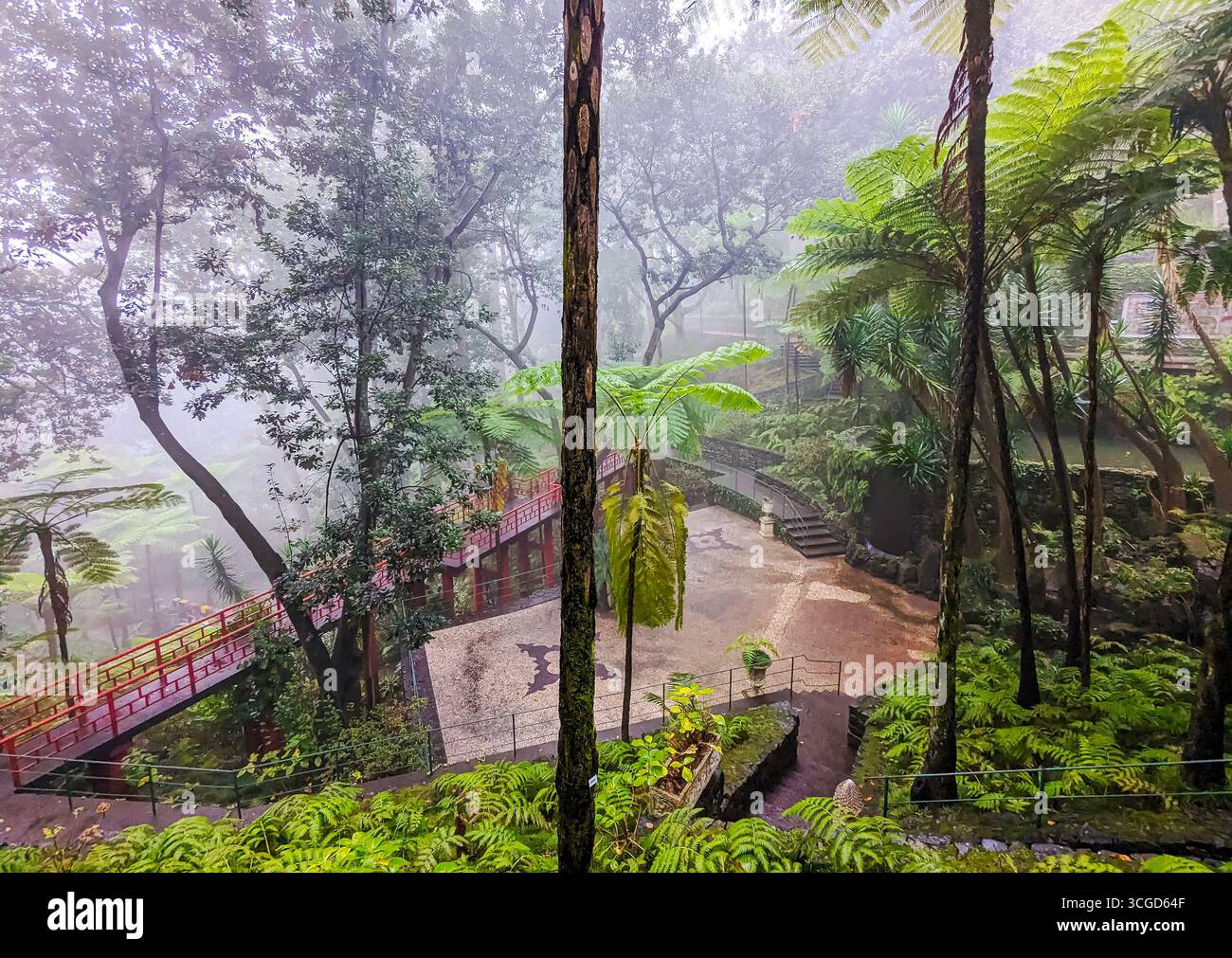 Une matinée brumeuse et pluvieuse au Jardim Monte Palace Madeira Gardens et au musée situé via le funiculaire de Funchal à la ville perchée de Monte Portugal. Banque D'Images
