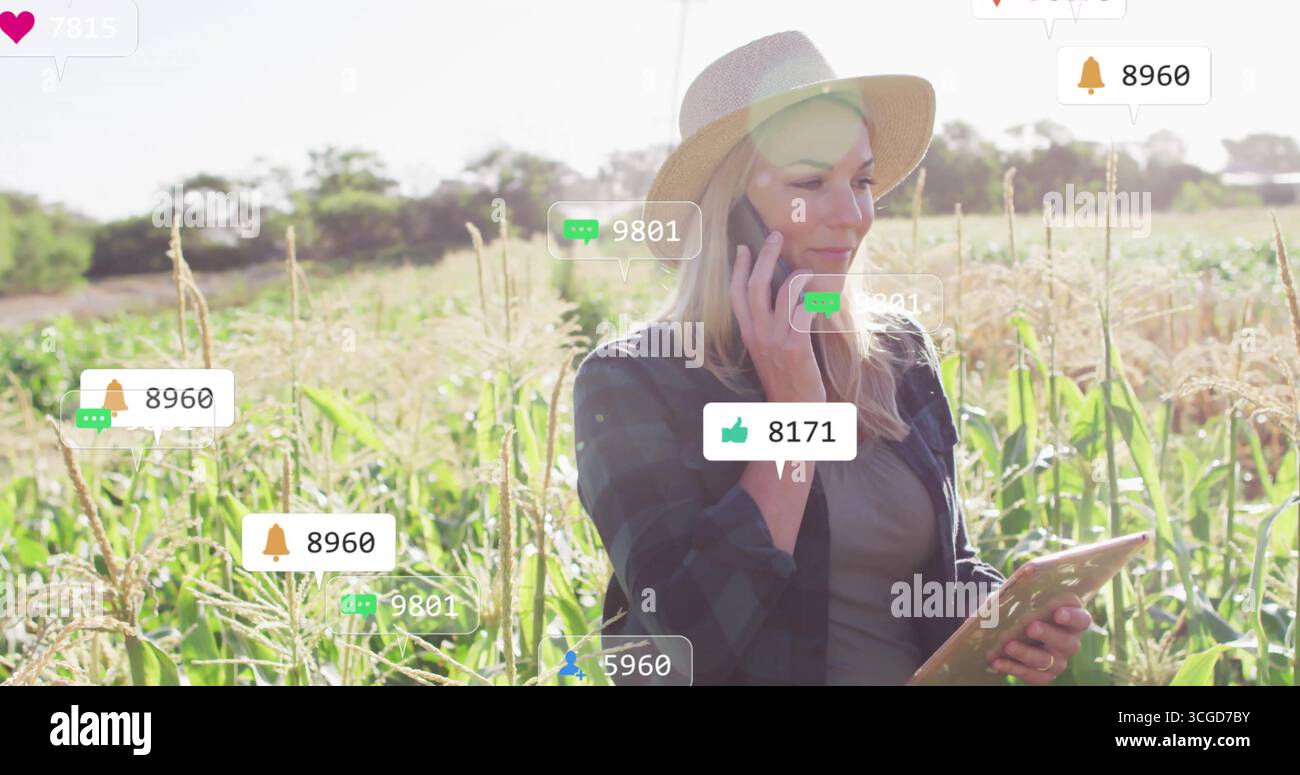 Tenant smartphone, femme portant chapeau de paille examinant les données de la tablette dans le champ de la ferme, avec des notifications Banque D'Images