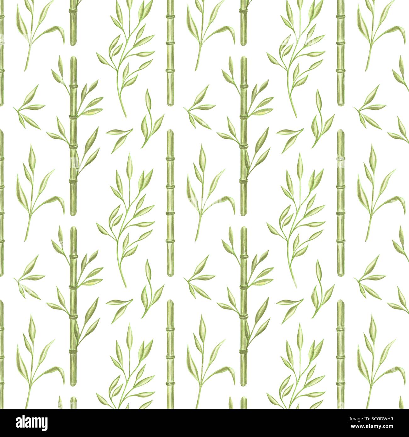 Tiges de bambou vert avec des feuilles sans couture motif. Illustration d'aquarelle de verdure botanique. Branche dessinée à la main pour une conception écologique. Pluie orientale Banque D'Images