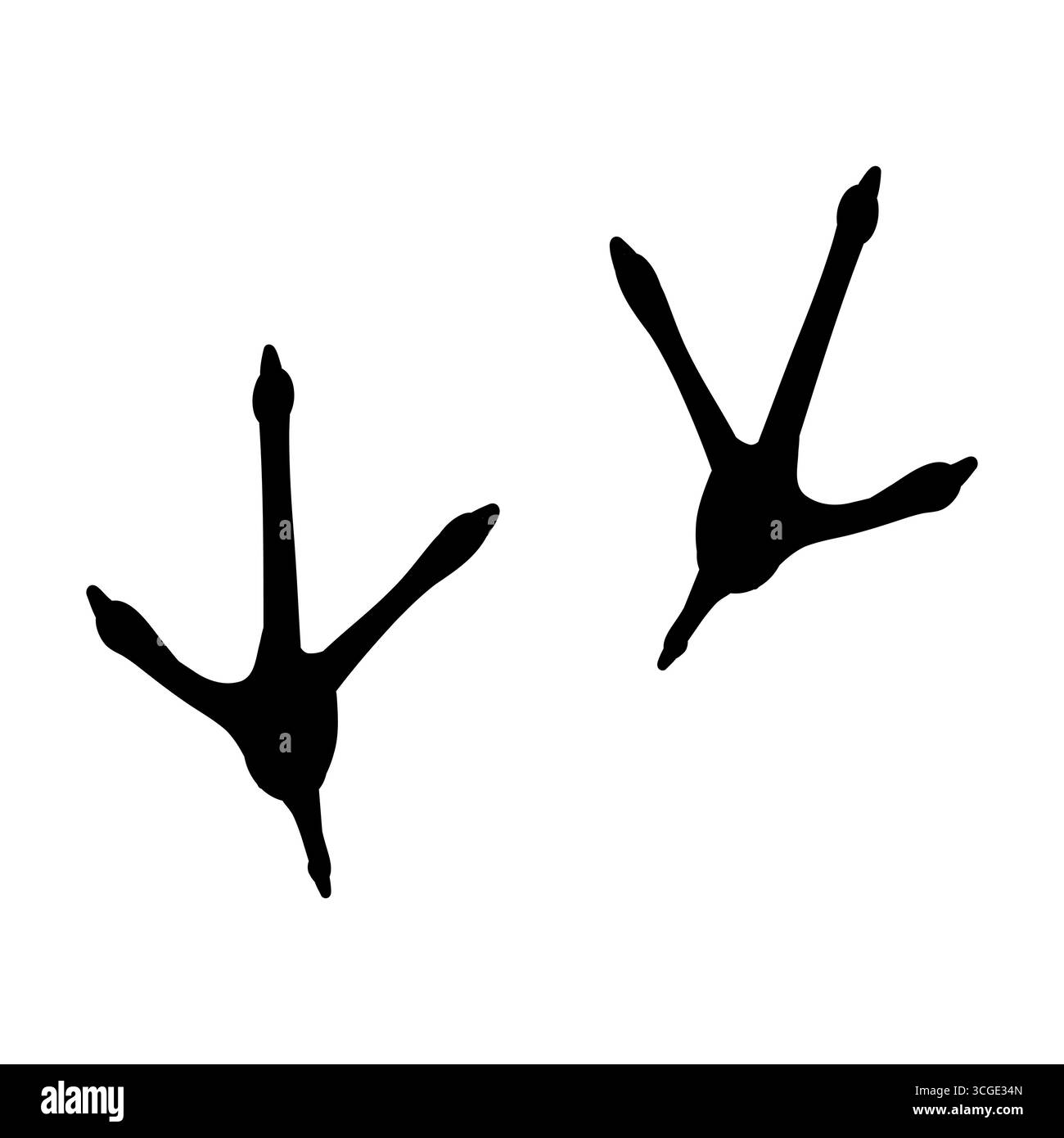 Empreinte d'oiseau silhouette de pied de poulet, empreinte de pieds, pas de patte dessiné à la main doodle. Esquissez une dinde simple, un sentier de poule. Marque de marches de la marche-corbeau. Illustration vectorielle Illustration de Vecteur