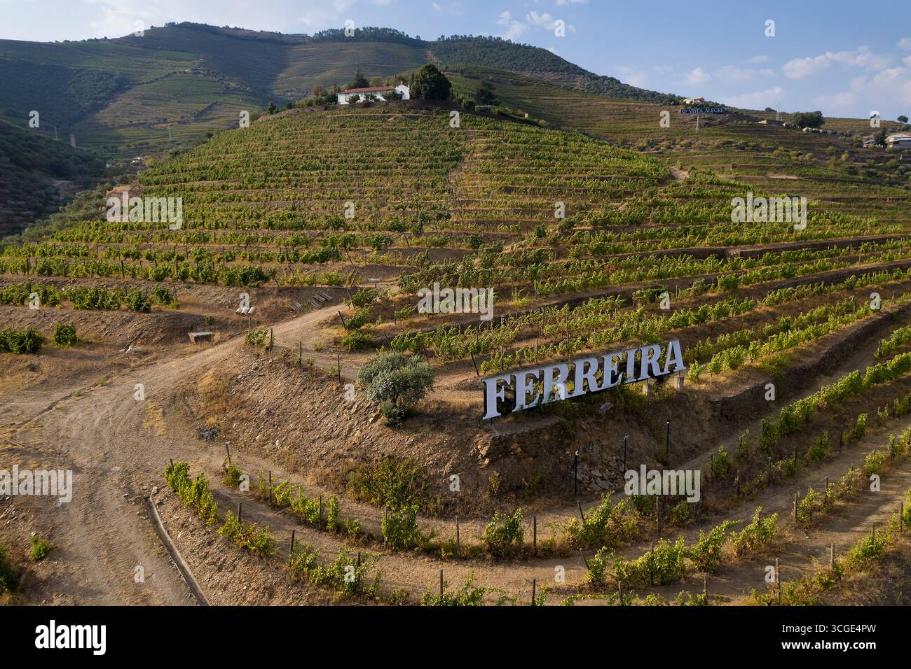 Vignobles de la vallée du Douro, Portugal Banque D'Images