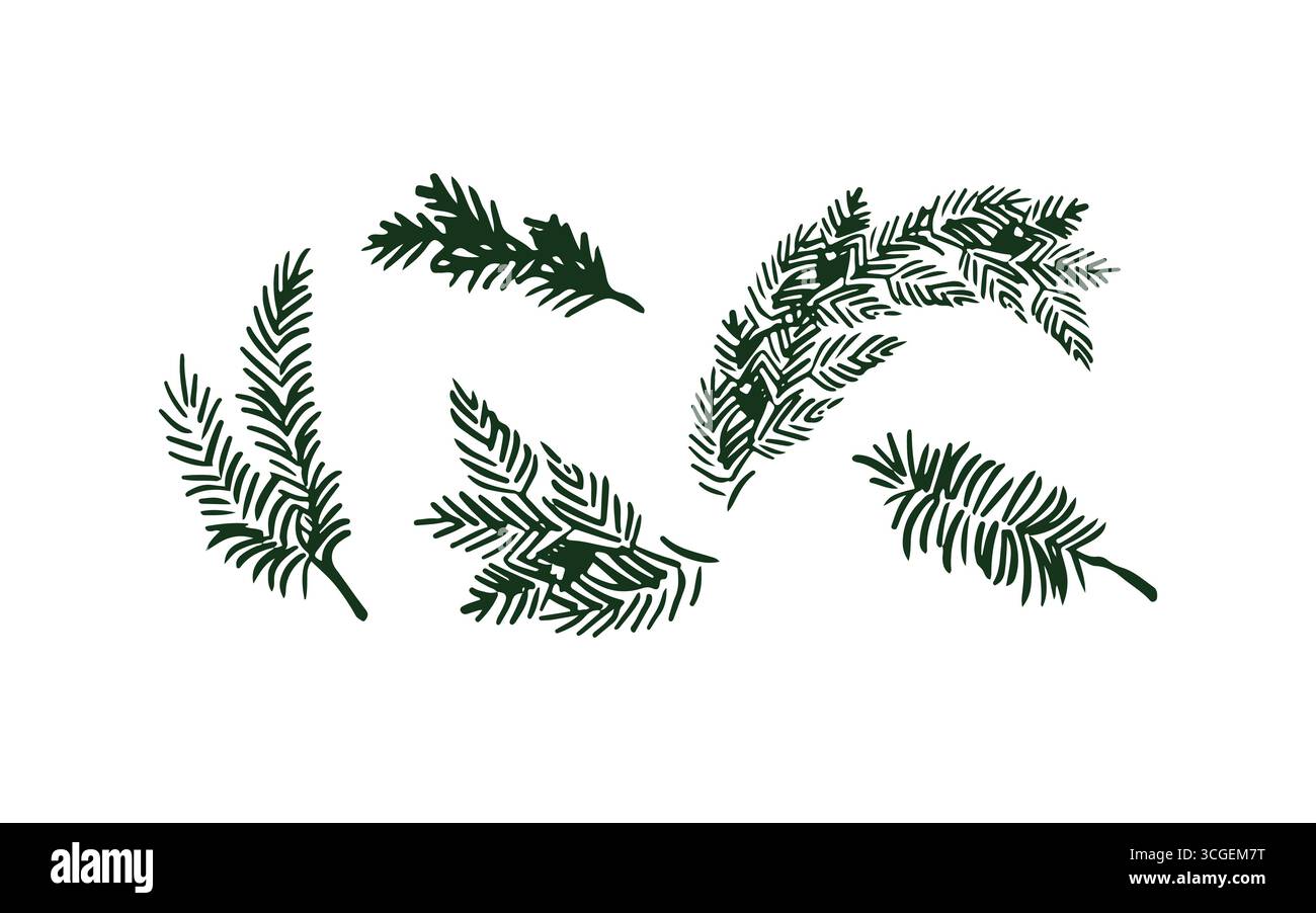 Ensemble de branches de pin de Noël, arbre à feuilles persistantes, sapin, branche de cèdre, icône vectorielle. Silhouettes de branches d'épinette. Plantes d'hiver, arbre du nouvel an, décoration de vacances. Illustration de contour vert dessinée à la main. Illustration vectorielle. Illustration de Vecteur